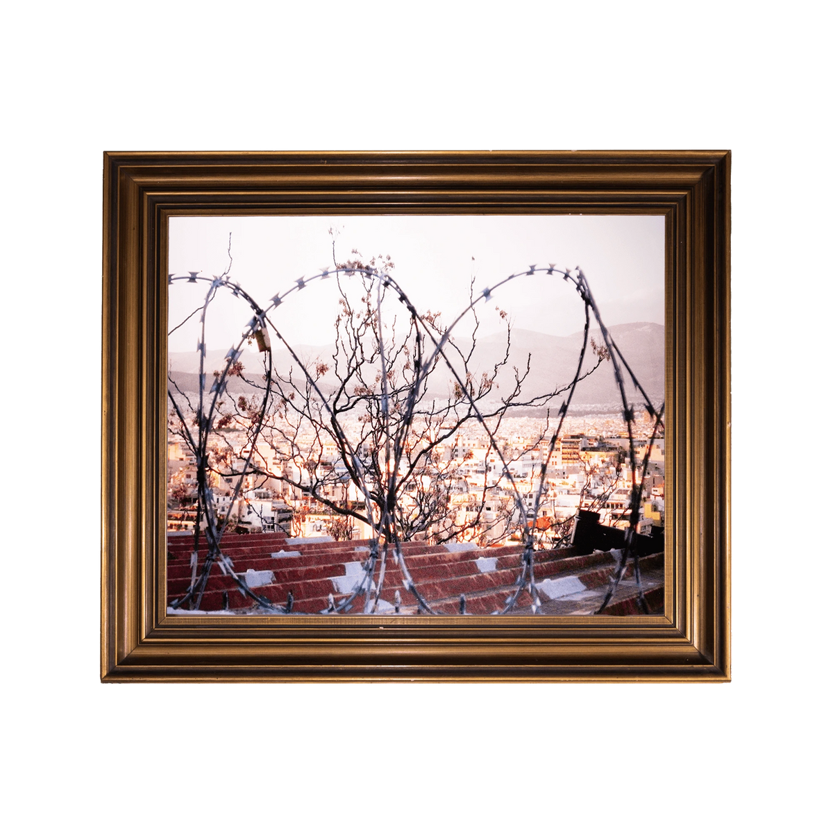 SXAL'S 40x60 PRINTS